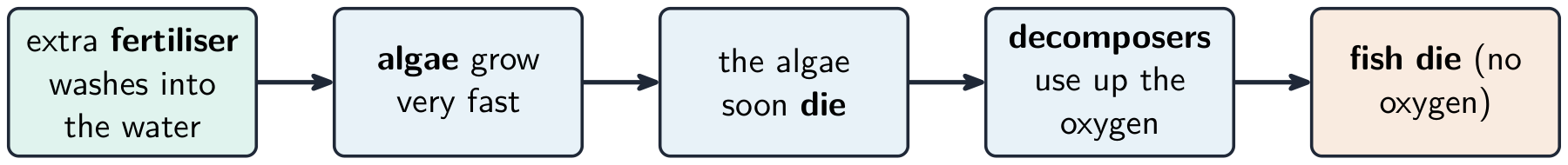 A flow chart of eutrophication: extra fertiliser washes into the water, algae grow very fast then die, decomposers use up the oxygen, and the fish die