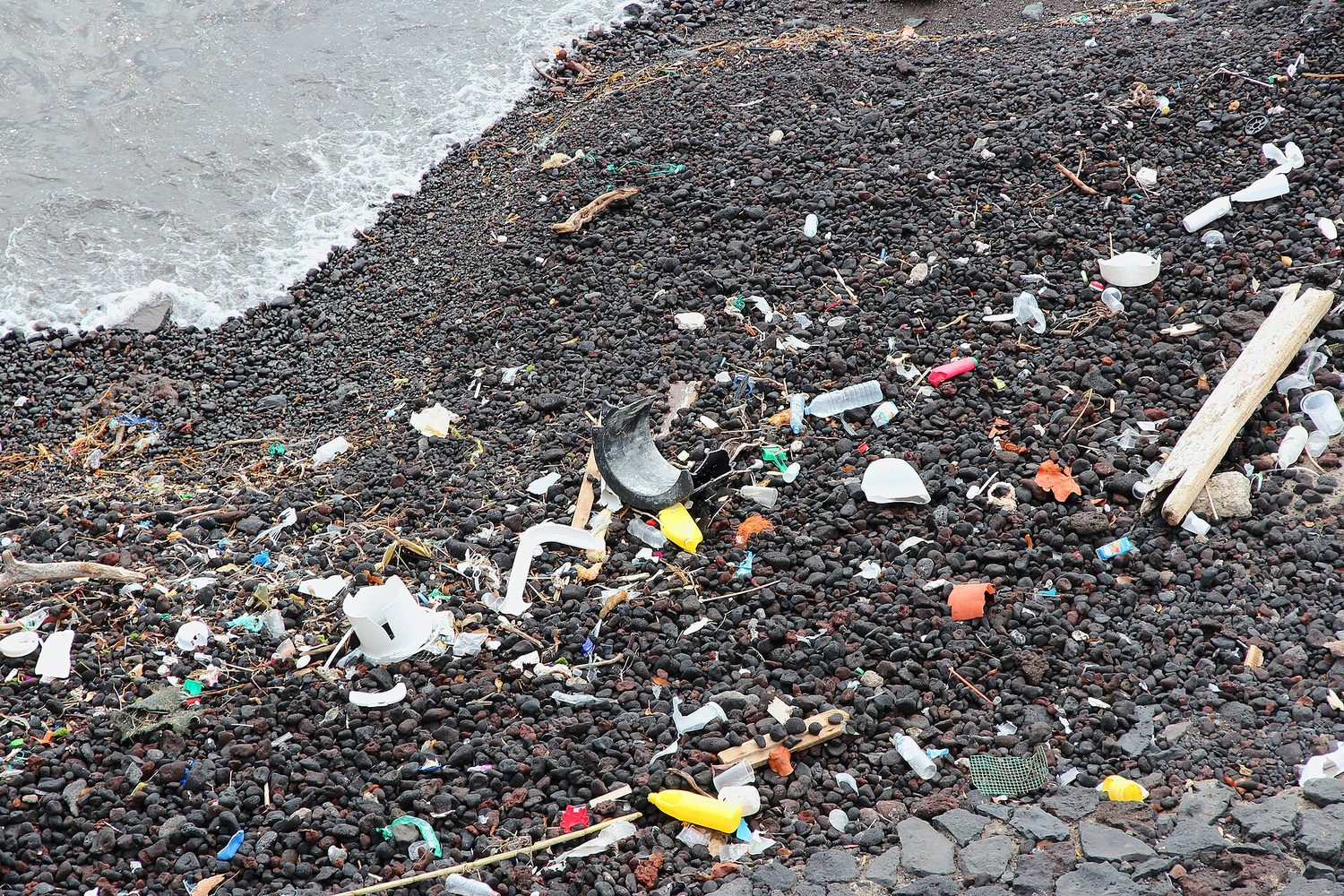 Plastic litter washed up on a beach