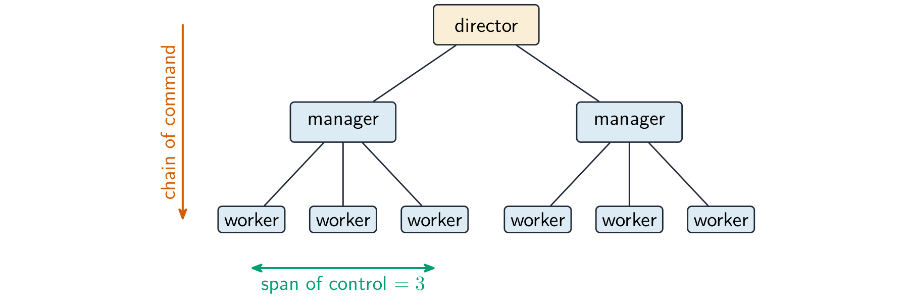 Organisation chart with a director over two managers, each in charge of three workers, marking the chain of command and a manager's span of control