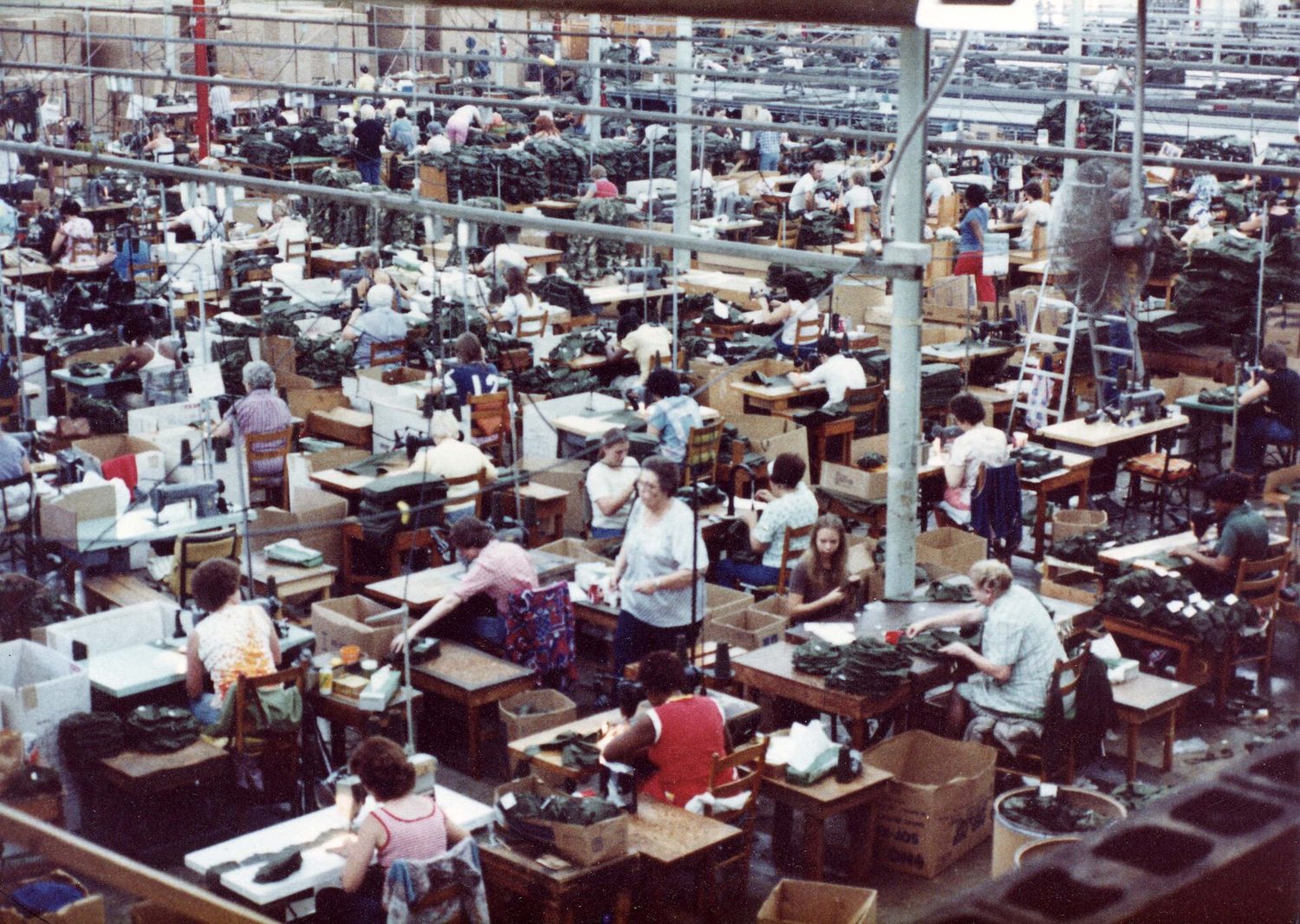 A workplace full of staff at workstations