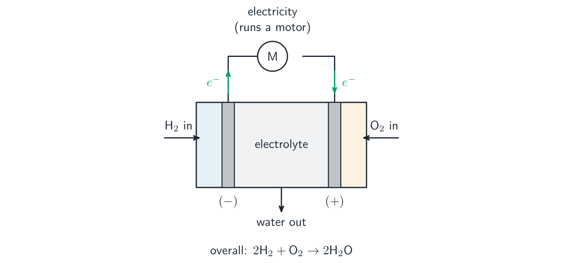 A hydrogen-oxygen fuel cell with hydrogen and oxygen fed to two electrodes, an external circuit running a motor, and water leaving as the only product