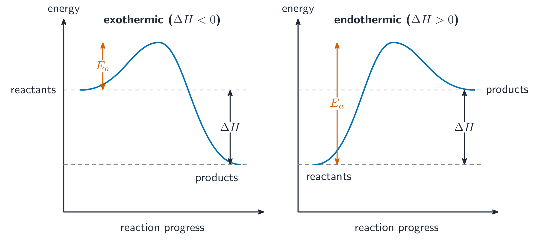 Two reaction pathway diagrams: an exothermic one with products below the reactants and an endothermic one with products above