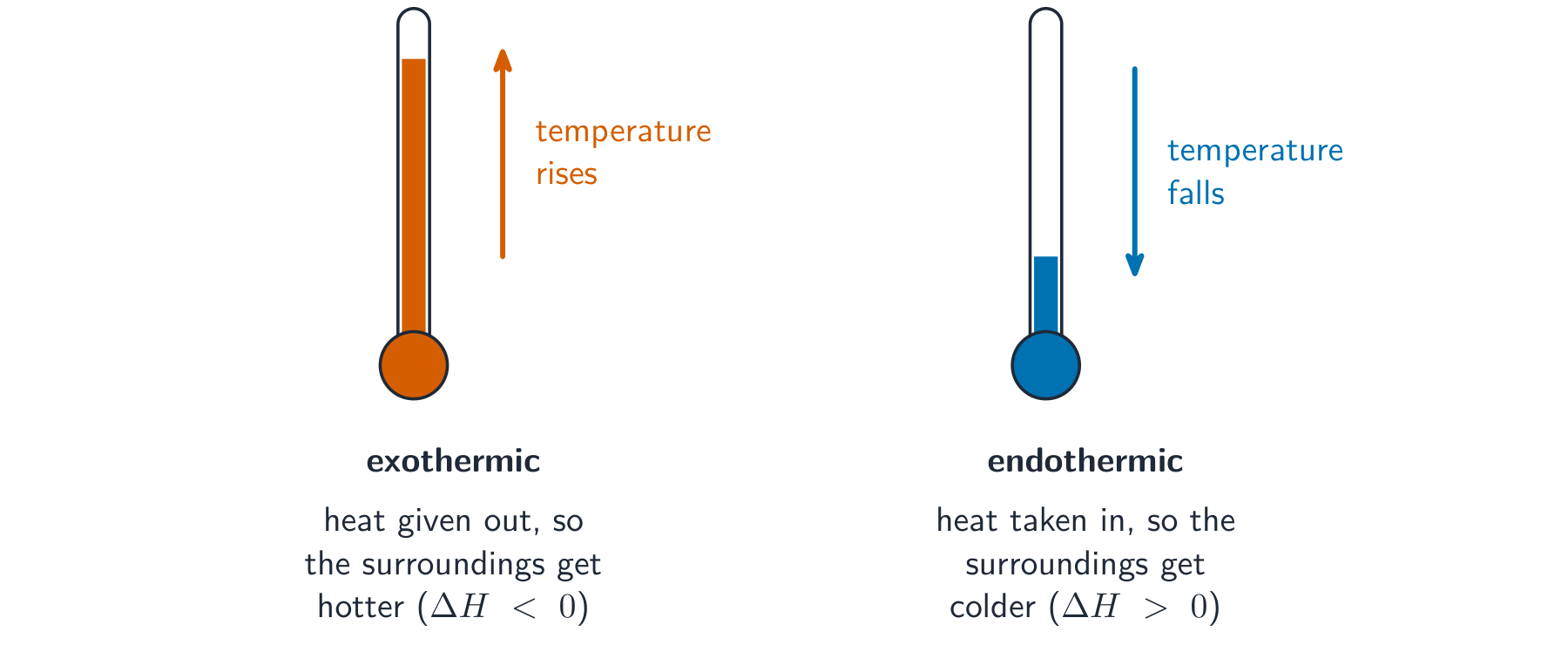 Two thermometers: in an exothermic reaction the reading rises, in an endothermic reaction it falls