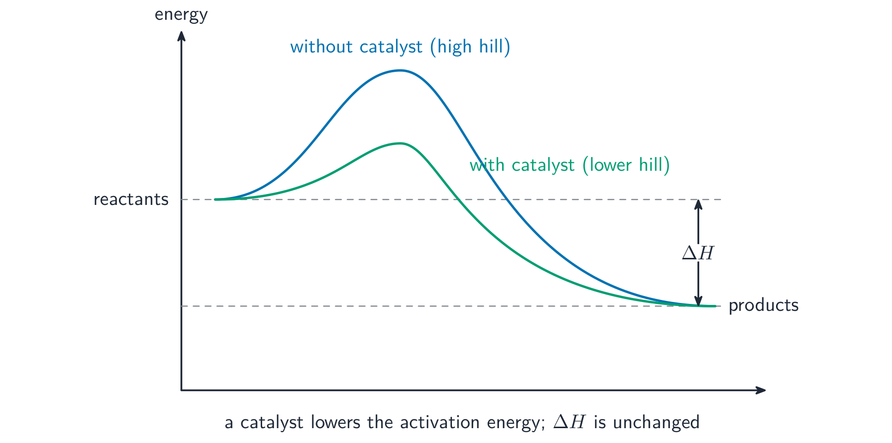 A reaction pathway with a high hill without a catalyst and a lower hill with a catalyst, both ending at the same products