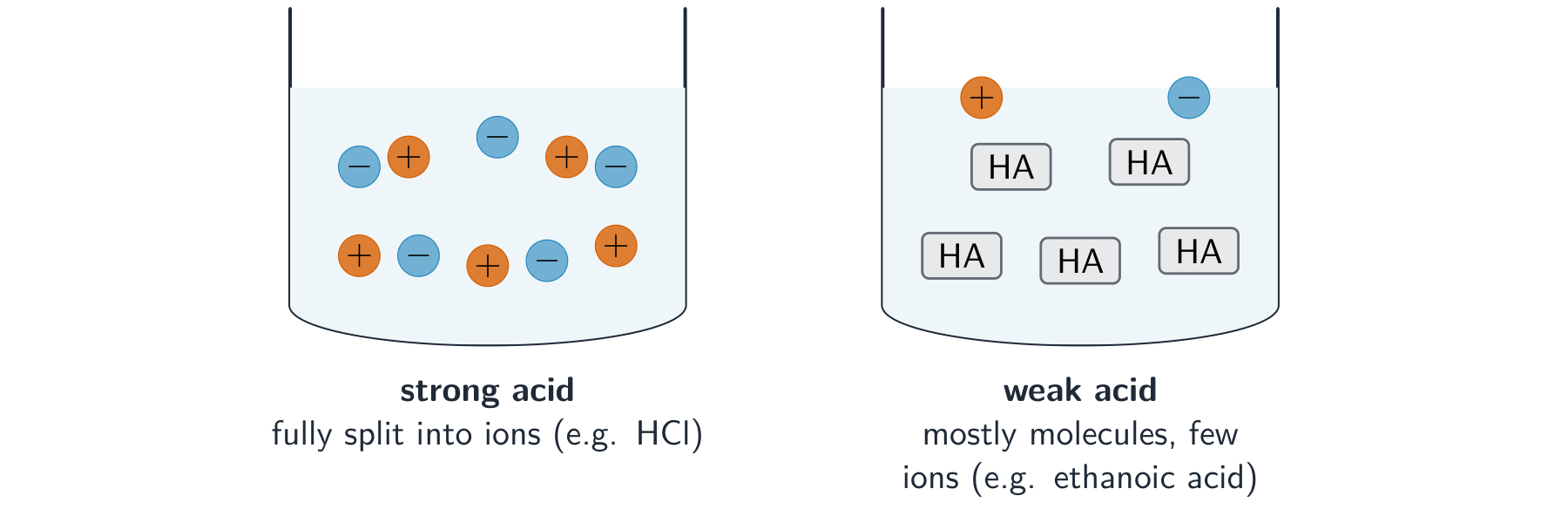 Two beakers: a strong acid full of separate positive and negative ions, and a weak acid that is mostly intact molecules with only a few ions