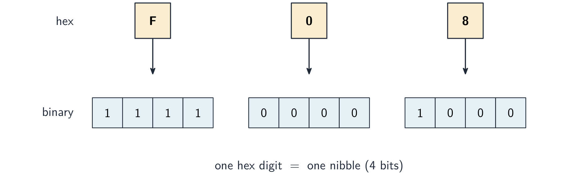 Each hexadecimal digit becomes its own 4-bit group (nibble): F = 1111, 0 = 0000, 8 = 1000.