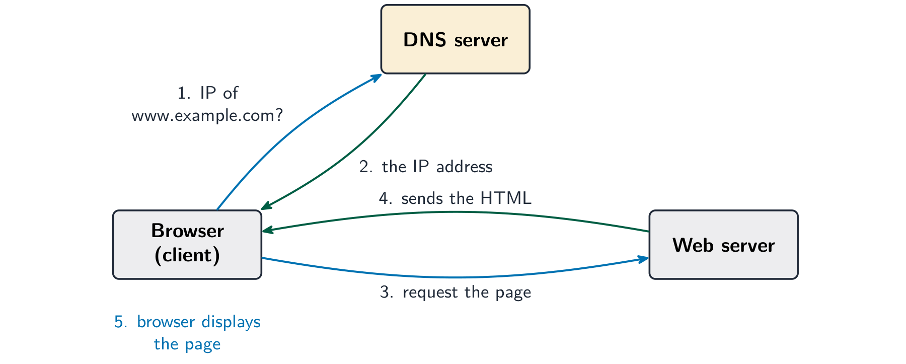 The browser asking a DNS server for an IP address, then requesting the page from the web server and receiving the HTML back