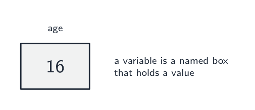 A variable named age holding the value 16