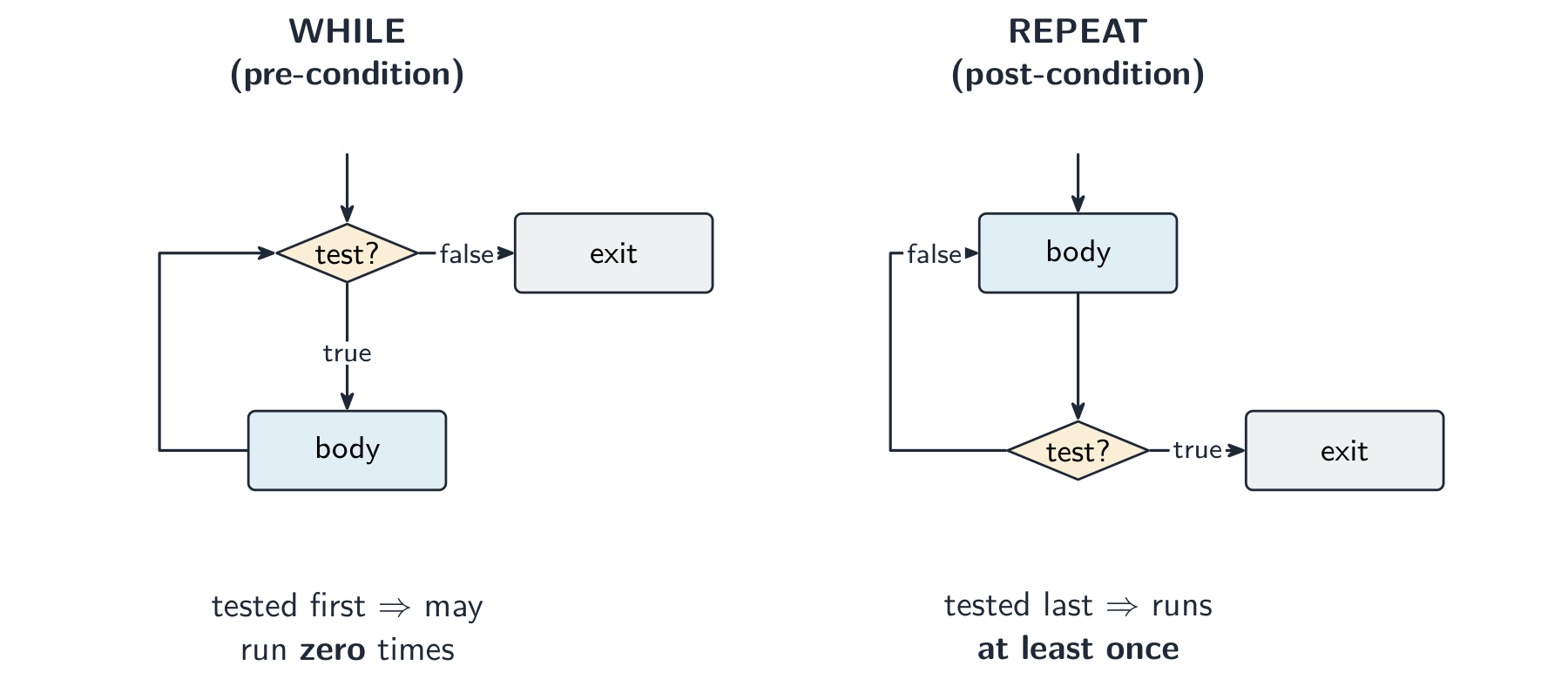 Two loop flowcharts: WHILE tests the condition before the body; REPEAT runs the body first and tests after