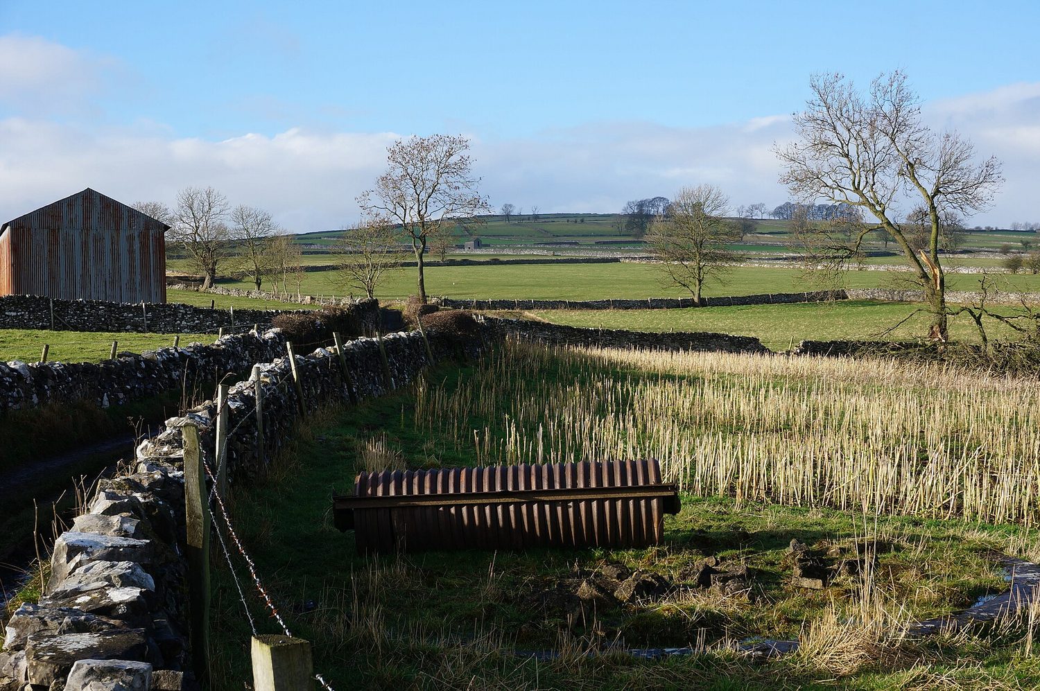 Green farmland fields stretching into the distance
