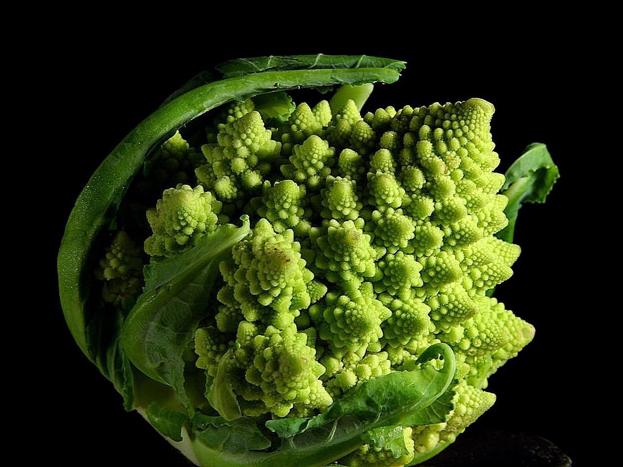 Romanesco broccoli spirals