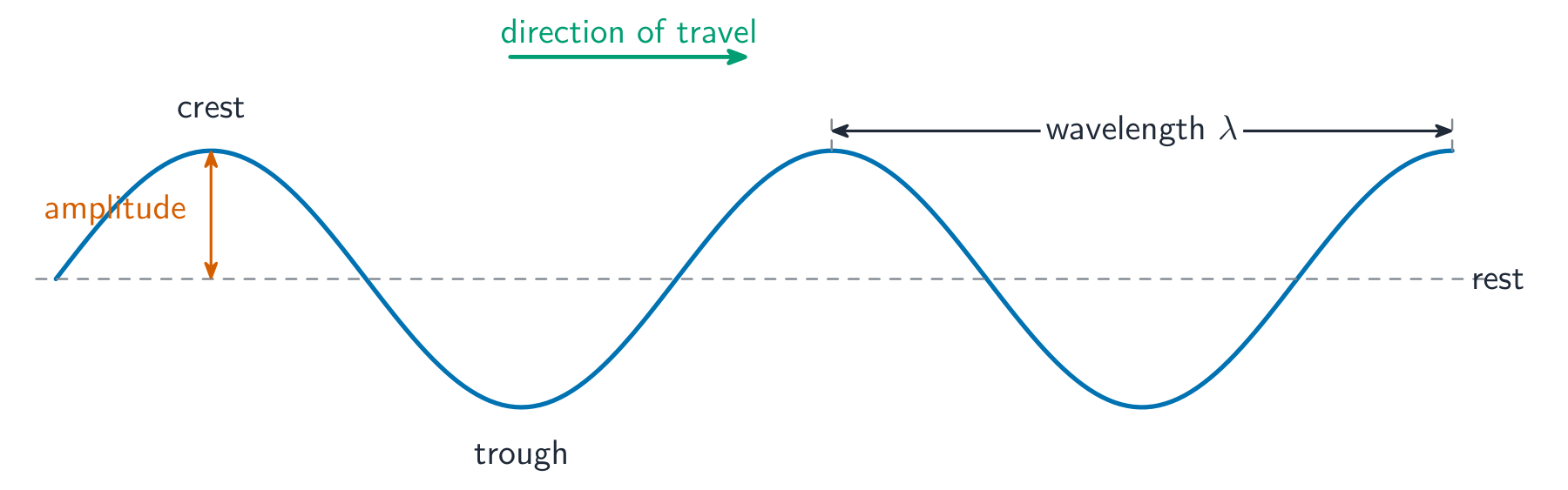 A transverse wave with the wavelength, amplitude, crest, trough and direction of travel labelled
