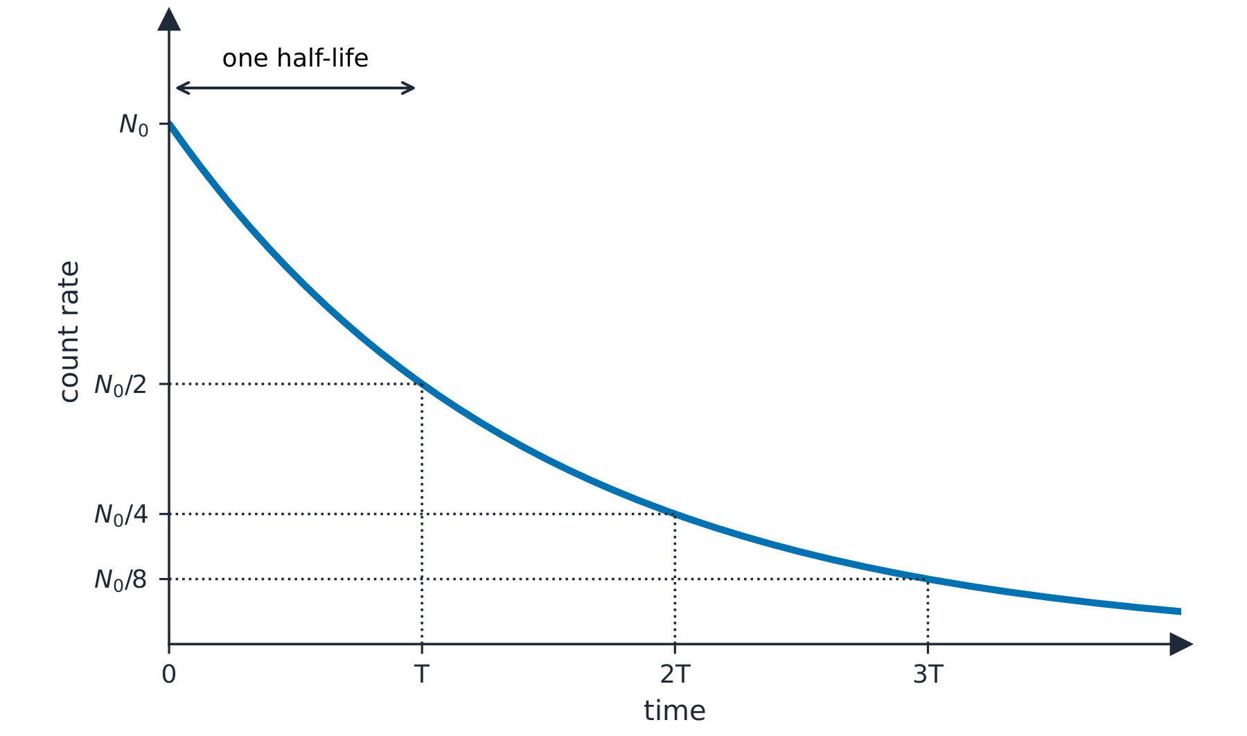 A decay curve of count rate against time, halving at each half-life