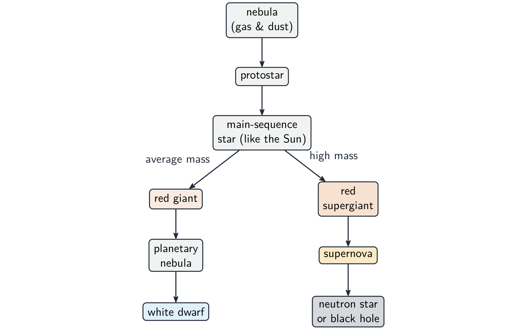 A flow chart of a star's life, branching by mass into the red-giant and red-supergiant paths