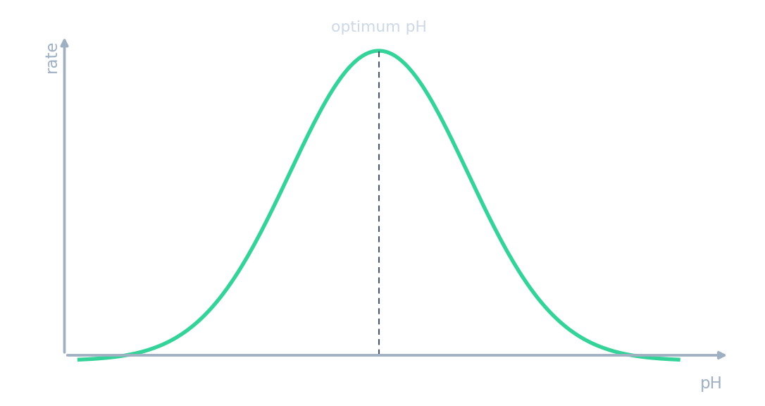 Bell-shaped curve of rate against pH, peaking at the optimum pH