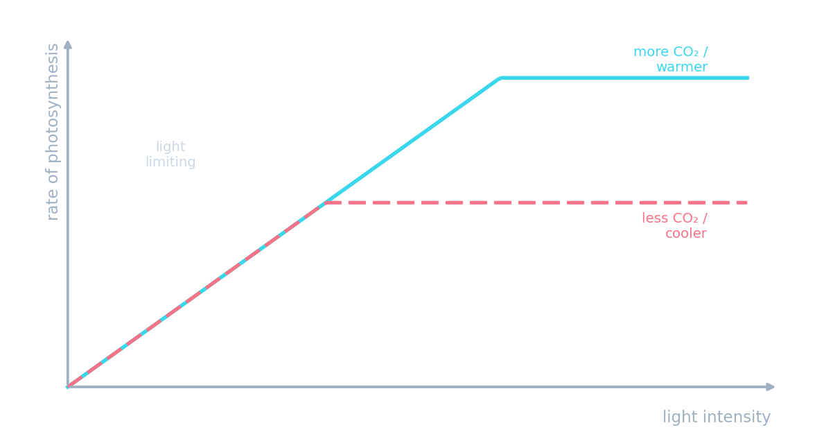 Two curves of rate against light intensity rising then levelling off; the higher one has more CO₂ or a warmer temperature