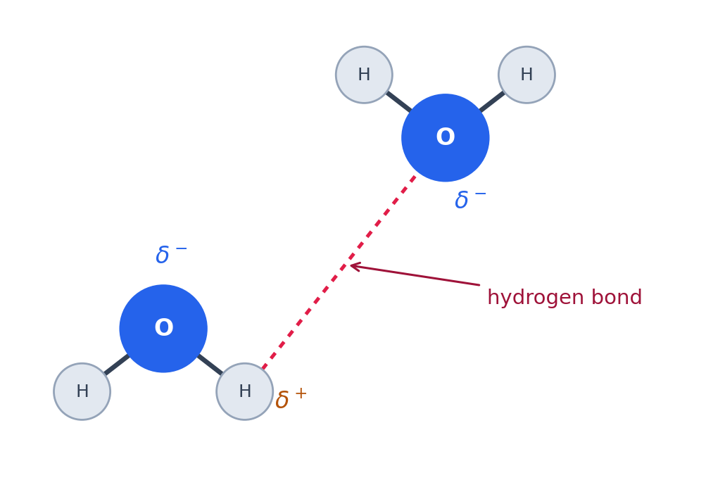 Two water molecules with partial charges joined by a dashed hydrogen bond