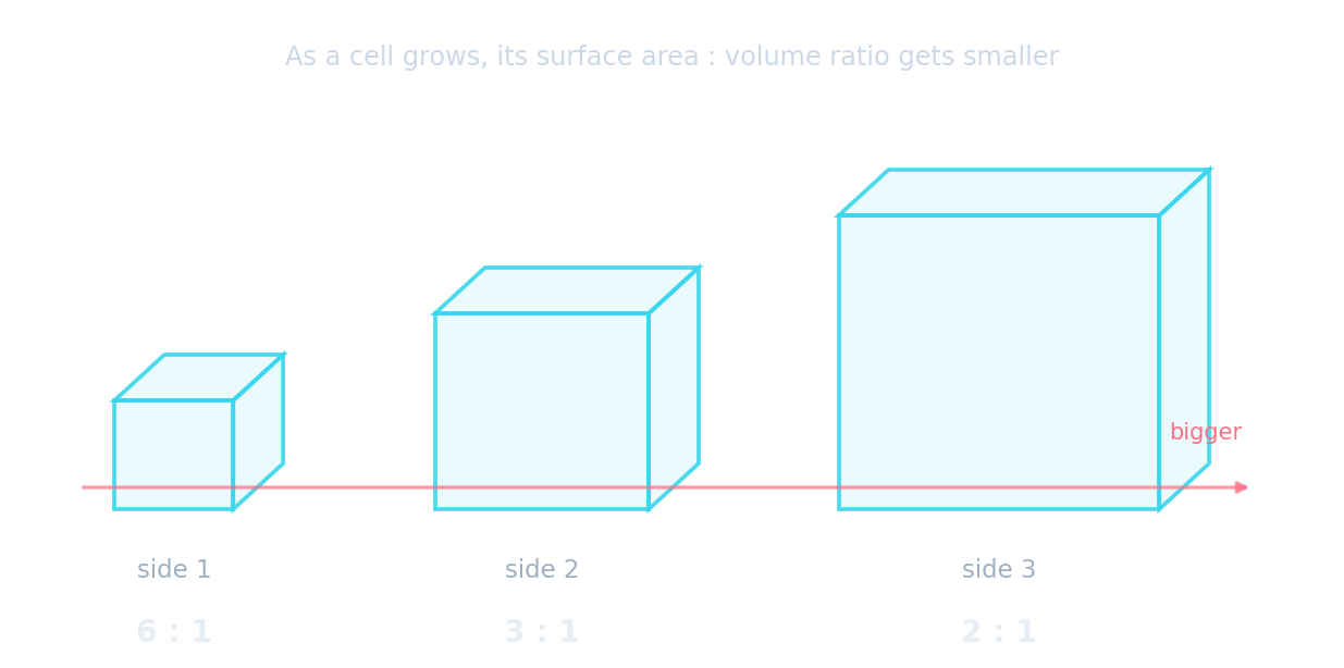 A small cube and a large cube; the larger has a much lower surface-area-to-volume ratio