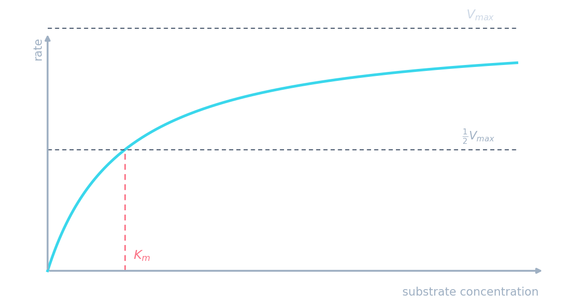 A reaction-rate curve rising with substrate then levelling off at a maximum