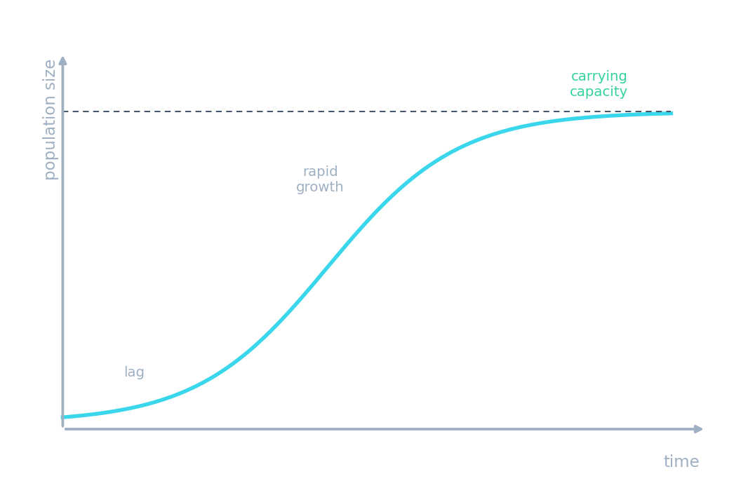 A population curve rising fast then levelling off at the carrying capacity