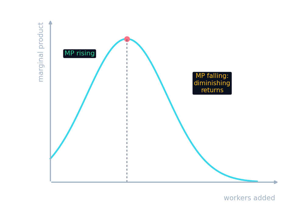 The marginal product curve rises, then falls once diminishing returns set in