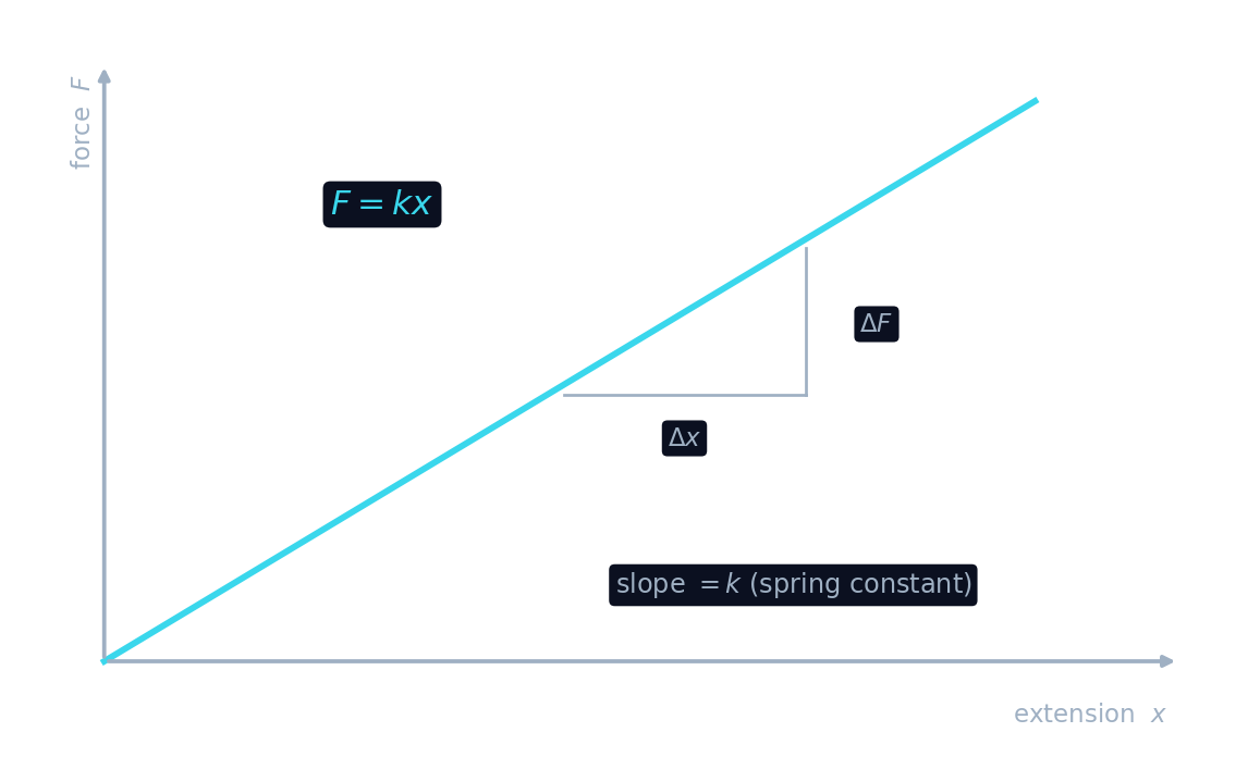 A straight-line graph of spring force versus extension, with slope equal to the spring constant k
