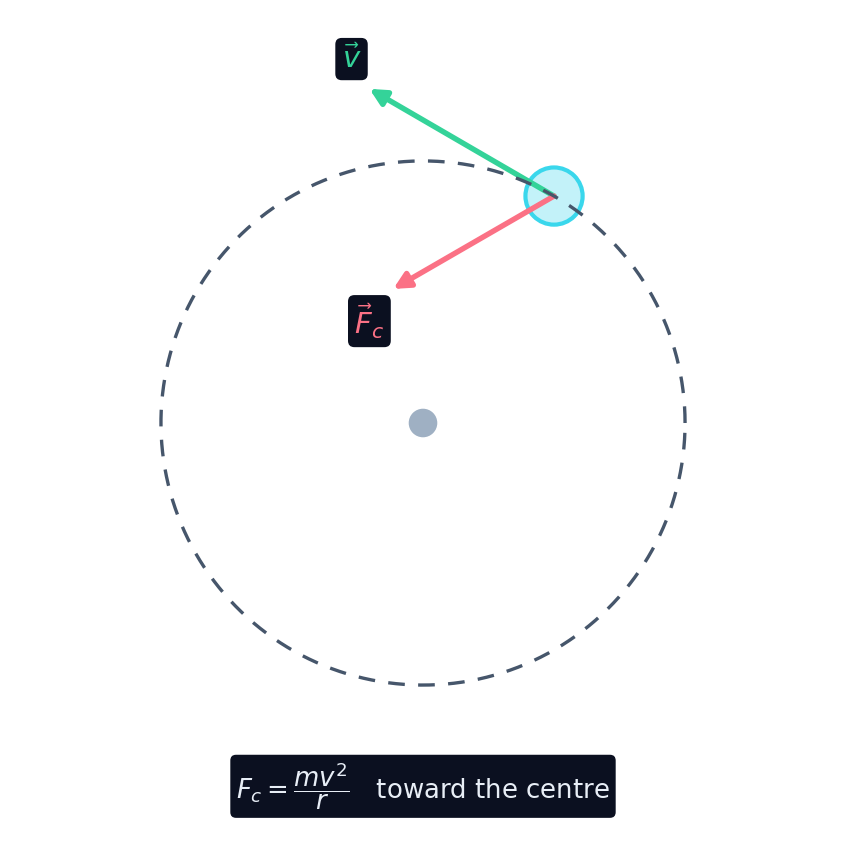 A ball on a circular path with velocity tangent to the circle and the centripetal force pointing to the centre