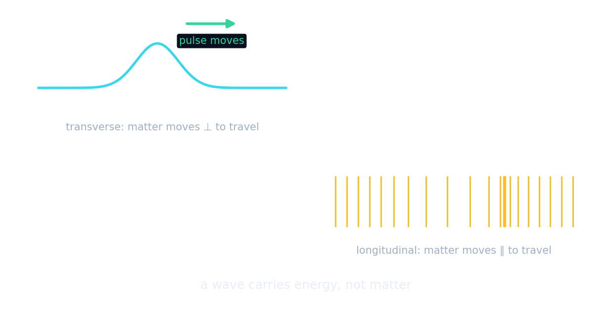 A transverse pulse where matter moves across the direction of travel, and a longitudinal pulse where matter moves along it