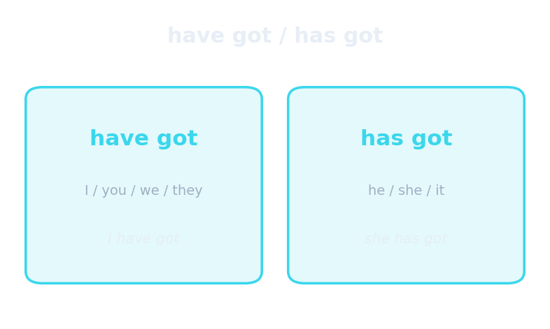 have got / has got
