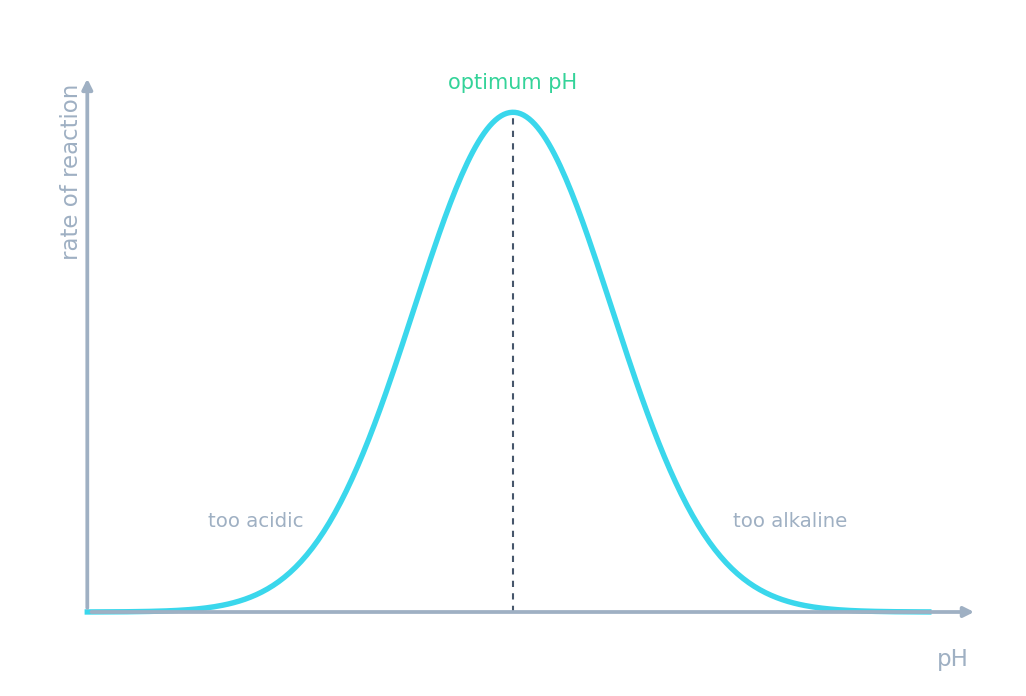 Rate of reaction peaking at the optimum pH and falling on either side